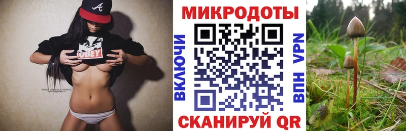 сайты даркнета как зайти  Верхотурье  Галлюциногенные грибы Psilocybe 